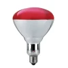 AMPOULE INFRAROUGE 250W DE RECHANGE POUR LAMPE - unité
