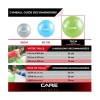 BALLON ABS ANTI ÉCLATEMENT AVEC POMPE STABILITÉ 75 CM CARE FITNESS - 75 cm