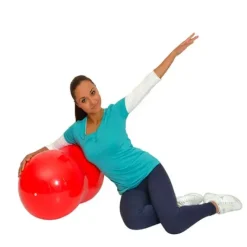 BALLON PHYSIOROLL DOUBLE BALLON STABLE GYMNIC - à l'unité
