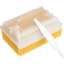 BROSSE CHIRURGICALE SECHE STÉRILE AVEC CURE-ONGLE - COLIS DE 25