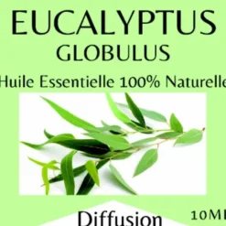 HUILE ESSENTIELLE EUCALYPTUS PURE NATURELLE - flacon de 10 ml