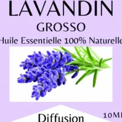 HUILE ESSENTIELLE LAVANDIN GROSSO 100% PURE ET NATURELLE - flacon de 10 ml