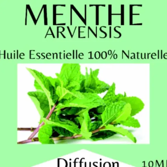 HUILE ESSENTIELLE MENTHE ARVENSIS 100% PURE ET NATURELLE - flacon de 10 ml