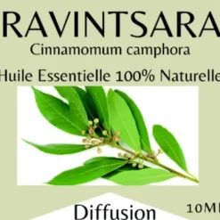 HUILE ESSENTIELLE RAVINTSARA 100% PURE ET NATURELLE - flacon de 10 ml