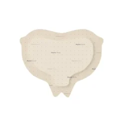 MEPILEX BORDER SACRUM PROTECT PANSEMENT ADHÉSIF ABSORBANT - boîte de 5