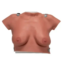 MODÈLE DE PALPATION MAMMAIRE BUSTE RÉALISTE 3B SCIENTIFIC - modèle standard