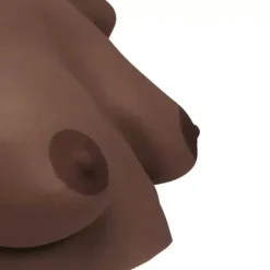 MODÈLE DE PALPATION MAMMAIRE GRANDEUR NATURE AVEC VALISE 3B SCIENTIFIC - teinte foncee