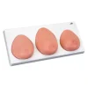 MODÈLE DE PALPATION MAMMAIRE 3 SEINS SUR SOCLE 3B SCIENTIFIC - 3 seins