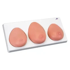 MODÈLE DE PALPATION MAMMAIRE 3 SEINS SUR SOCLE 3B SCIENTIFIC - 3 seins