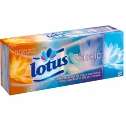 MOUCHOIRS ÉTUIS CLASSIC 4 PLIS LOTUS - lot de 12 étuis de 9 mouchoirs