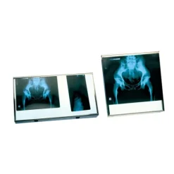 NÉGATOSCOPE 2 PLAGES VISUALISATION RADIO CE - 700 x 425 mm