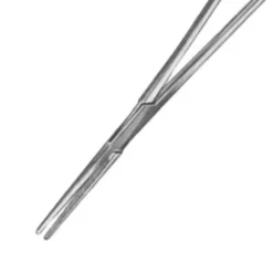 PINCE DE BENGOLEA DROITE INOX 24 CM