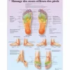 PLANCHES ANATOMIQUES MASSAGE DES ZONES REFLEXES DES PIEDS 3B SCIENTIFIC - 50 x 67 cm