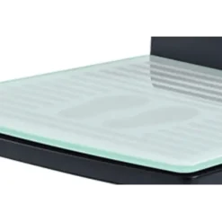 PÈSE-PERSONNE ÉLECTRONIQUE A COLONNE SECA 287