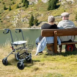 ROLLATOR 4 ROUES CRISTALLO AVEC PORTE CANNE EUROMEDIS - gris métallisé