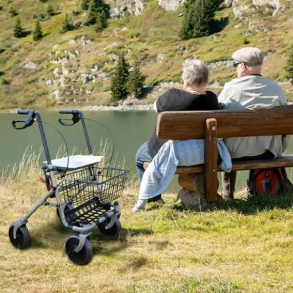 ROLLATOR 4 ROUES CRISTALLO AVEC PORTE CANNE EUROMEDIS - gris métallisé