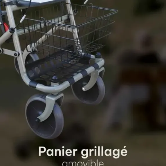 ROLLATOR 4 ROUES CRISTALLO AVEC PORTE CANNE EUROMEDIS - gris métallisé