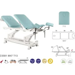 TABLE ÉLECTRIQUE BIELLE BLANCHE SPÉCIALITÉS T13 62X200CM