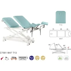 TABLE ÉLECTRIQUE CISEAUX BLANC SPÉCIALITÉS T13 62X200CM ECOPOSTURAL