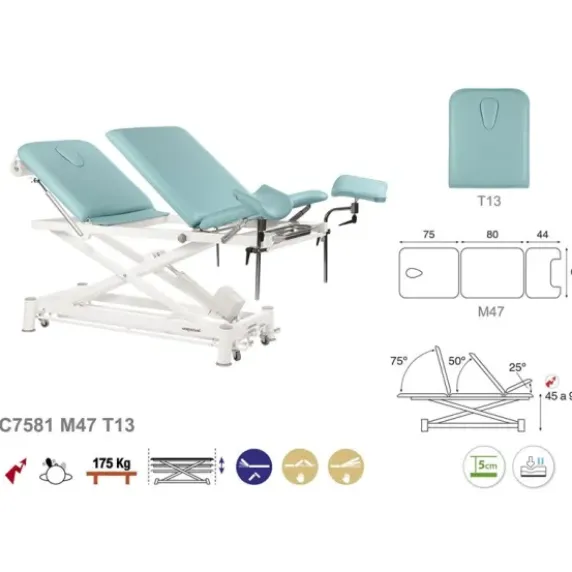 TABLE ÉLECTRIQUE CISEAUX BLANC SPÉCIALITÉS T13 62X200CM ECOPOSTURAL