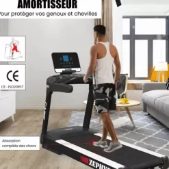TAPIS DE COURSE PROFESSIONNEL ZEPHYR 24 KM/H CARE - usage professionnel
