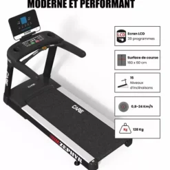 TAPIS DE COURSE PROFESSIONNEL ZEPHYR 24 KM/H CARE - usage professionnel