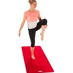 TAPIS DE SOL PLIABLE ANTIBACTÉRIEN 4 VOLETS - plusieurs formats